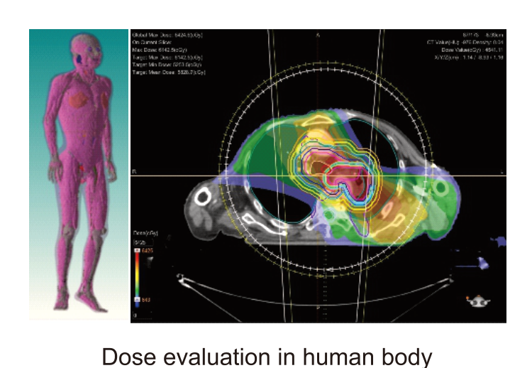 Dose evaluation in human body